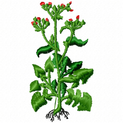 Flowers And Tree Embroidery Design 2 Flowers And Tree Embroidery Design 2